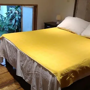  Apartment Parrot House San Antonio